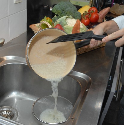 recipe preparation for cats and dogs